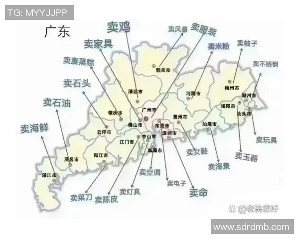 直辖市与广东经济发展对比分析探讨区域竞争与合作潜力